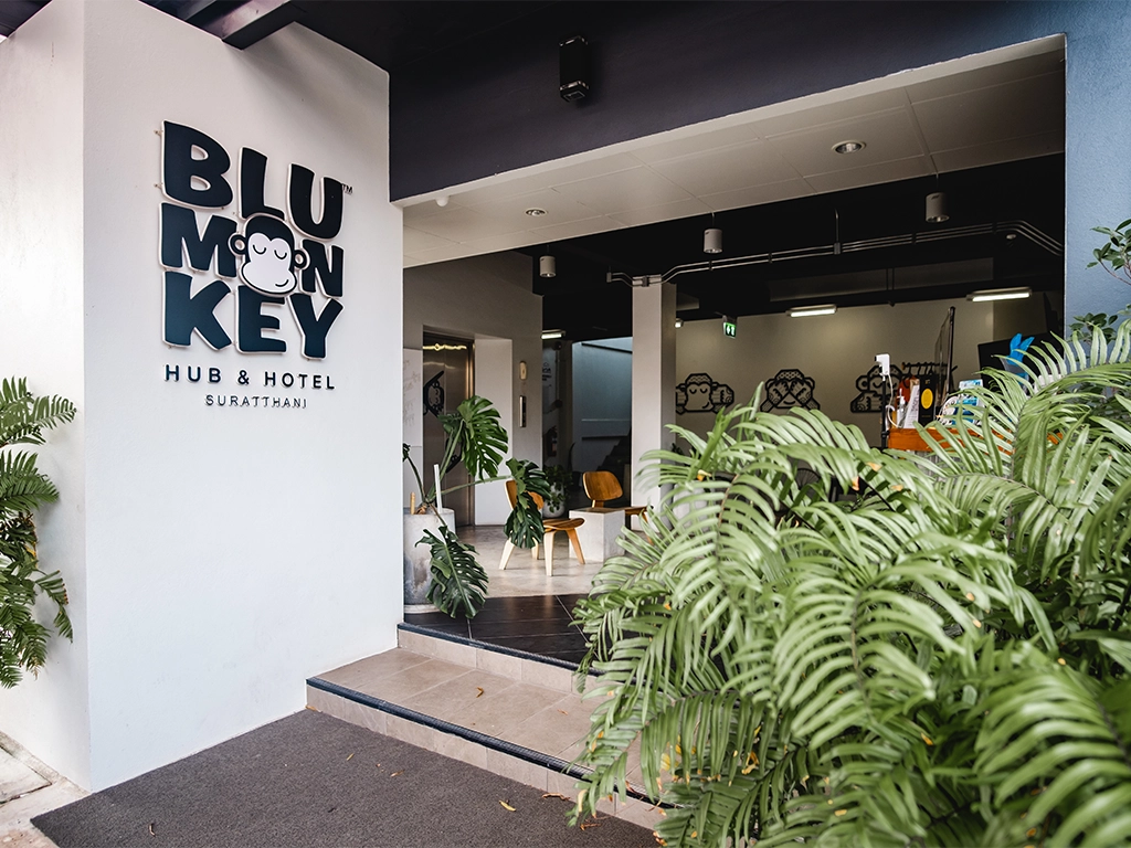 Blu Monkey Deal